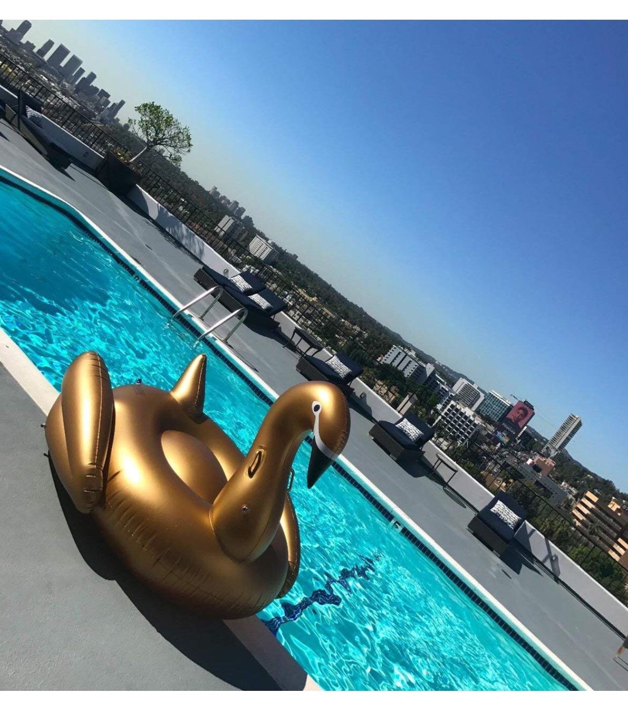 Gold Pool Swan Flootie Large - like new!!!