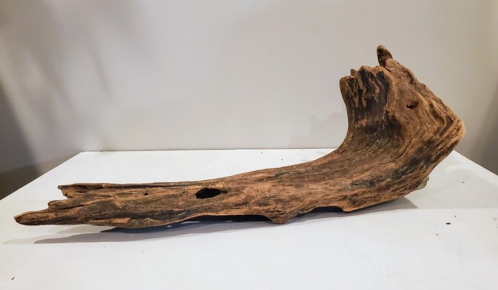 Beautiful Large Piece of Natural Driftwood for Aquariums and Terrariums