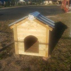 Dog House 