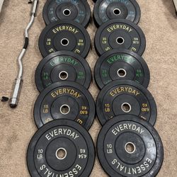 Bumper Plates (370LB)!