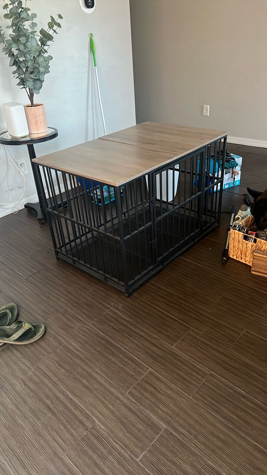 Dog Crate