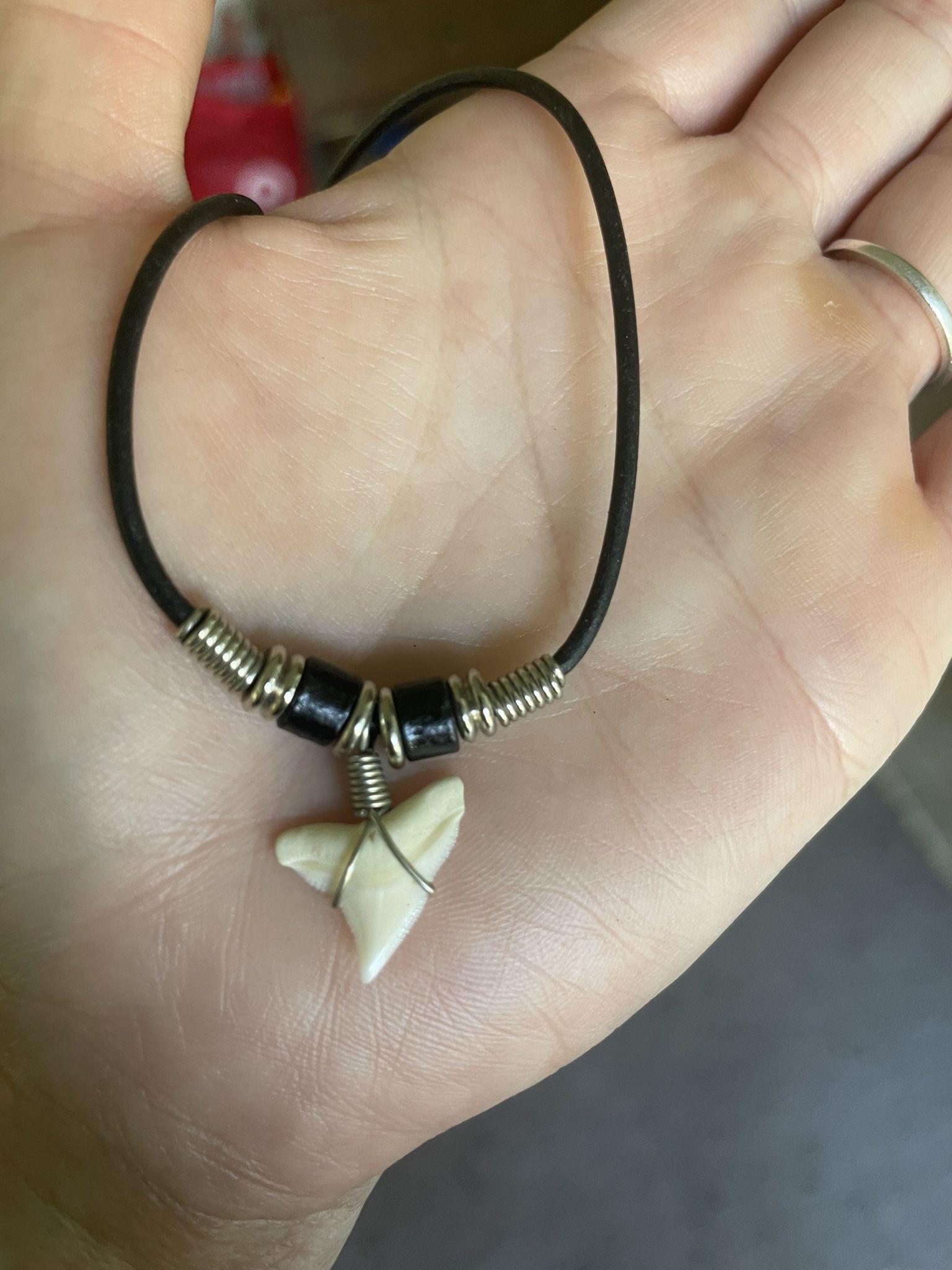 Long Sharktooth Necklace