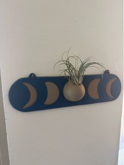 Moon mini wall planter