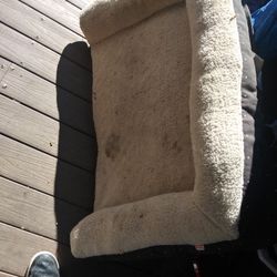 Good Medium Sized Dog Bed