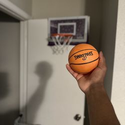 Indoor basketball Hoop(for Door)
