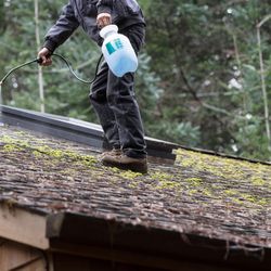 Moss  Removal , Cleaning, Roof Treatment 