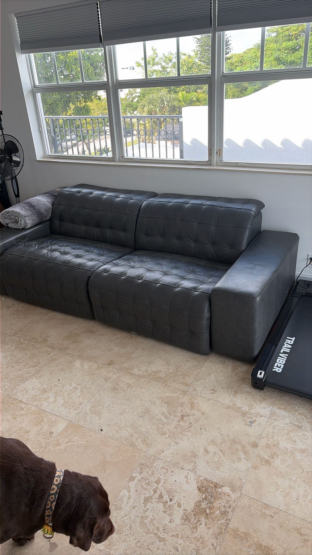 Leather Couch