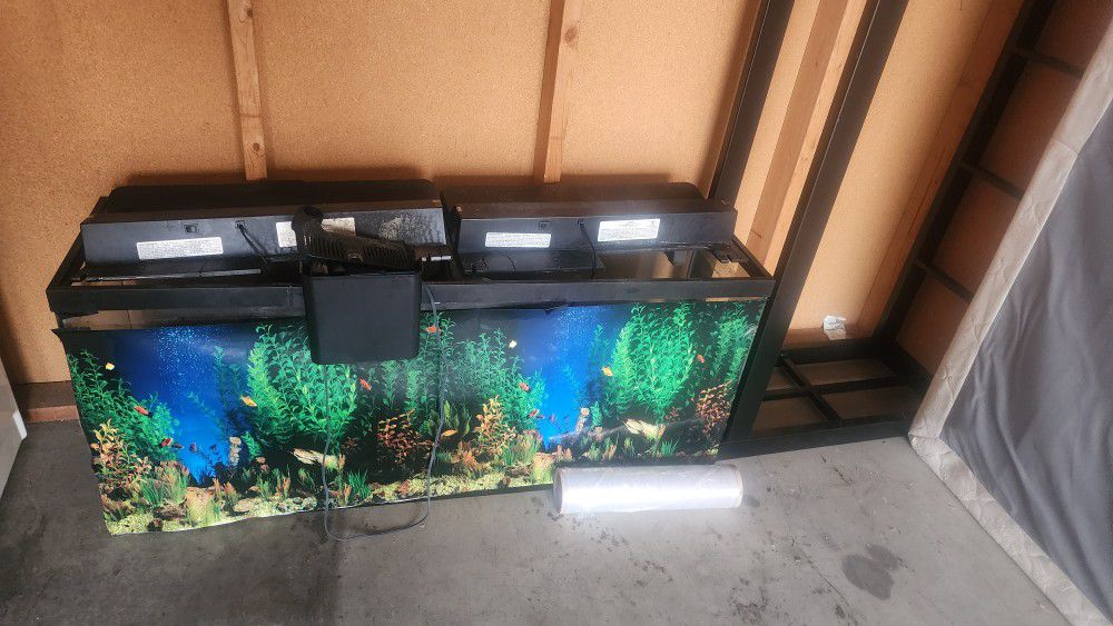 55 Gallon Fish Tank Accessories And Stand