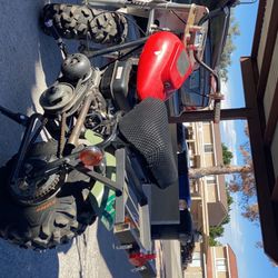 Baja Warrior Mini Bike