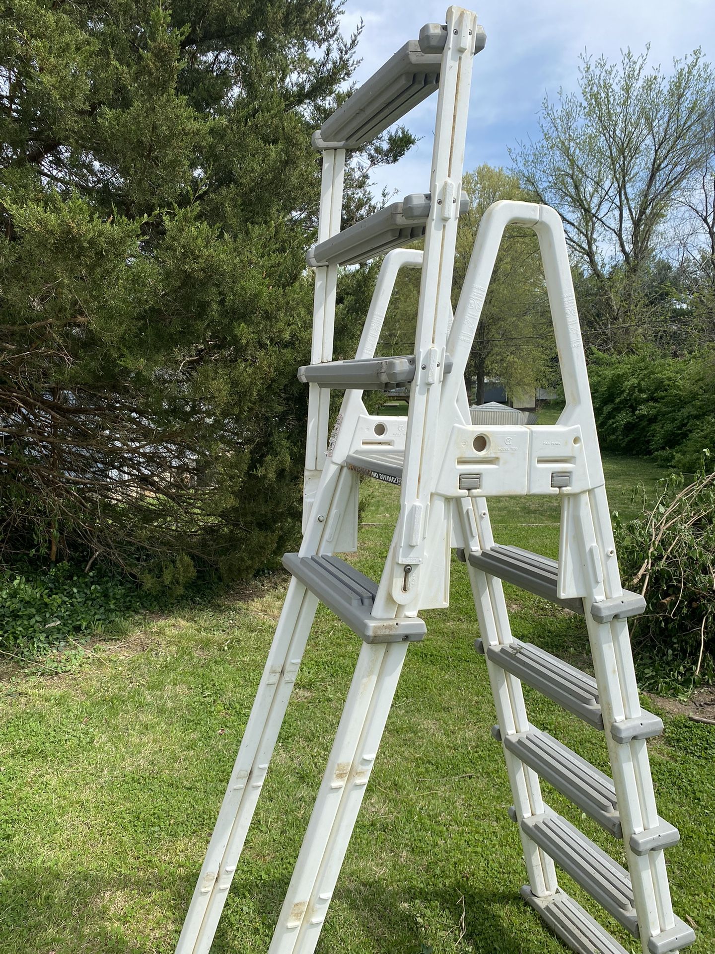 Pool Ladder 