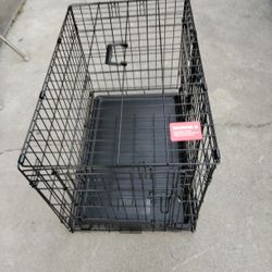 Dog 🦮 Crate Medium 