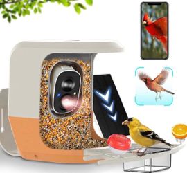 Bird Feeder Camera Wireless Solar Powered 2.5K