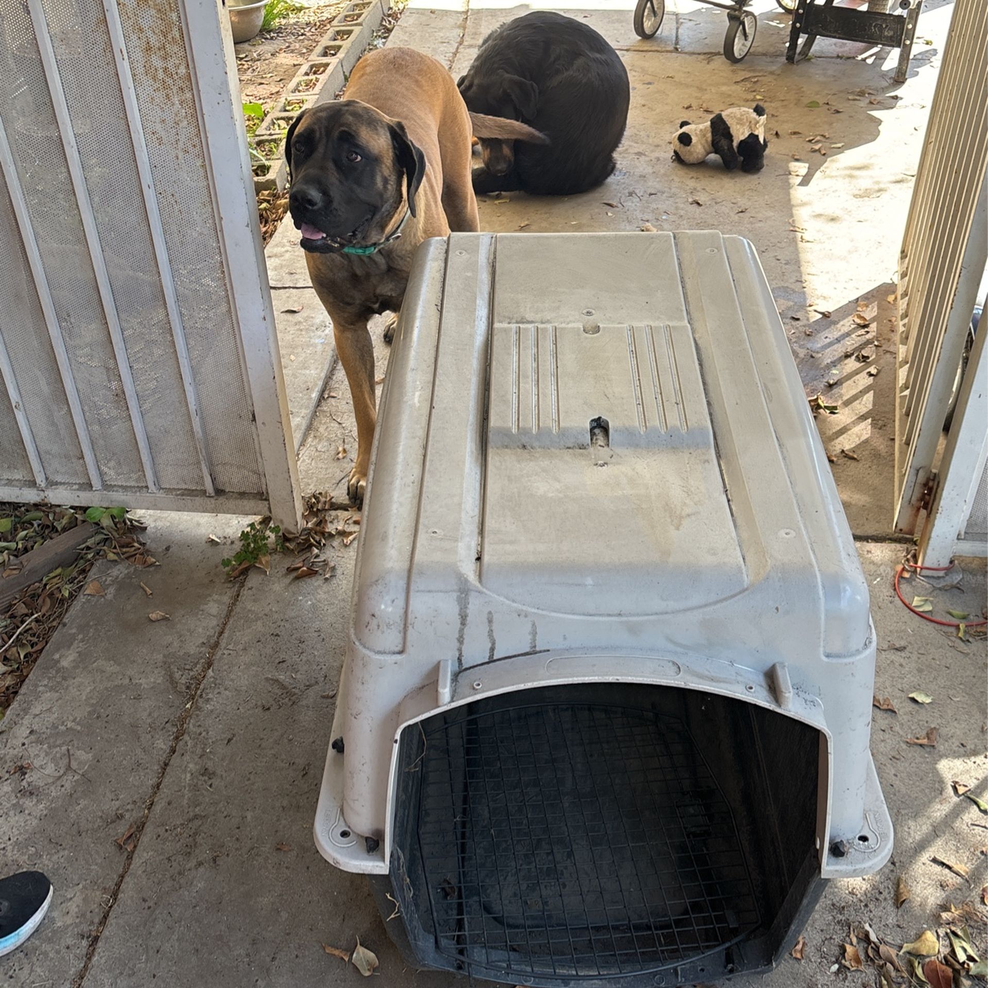 Large Dog Crate,All Products : American Fashion Style Bags On Sale