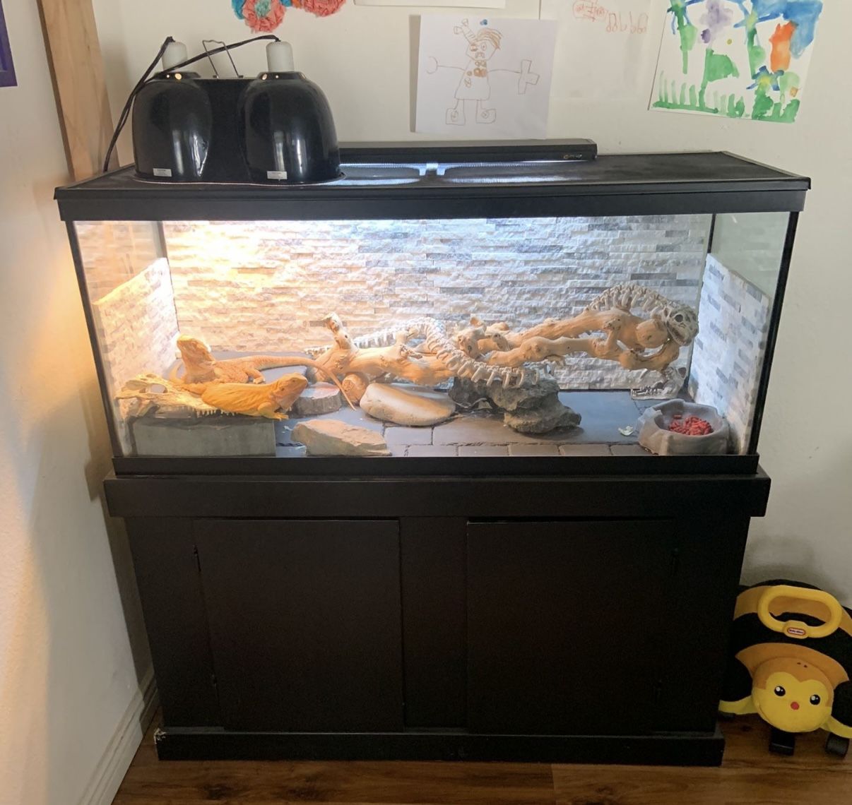 75 Gallon Reptile Enclosure With Accessories And Storage Cabinet