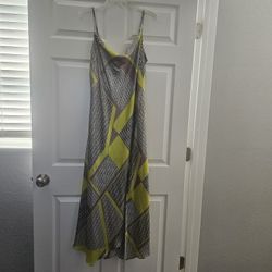 Express Slip Dress