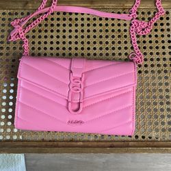 Aldo Pink Clutch Purse