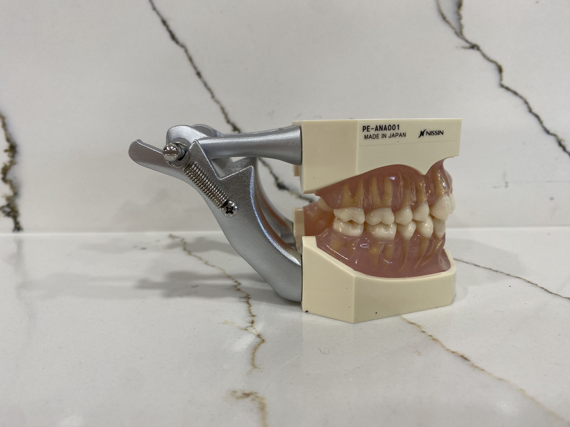 歯科用デジタルカメラDCN29-PRO 歯科仕様GPレンズ.リングフラッシュ