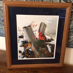 Signed Cardinal Framed Print