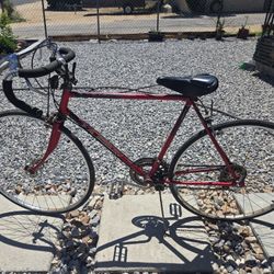 Vintage Retro Murray Eliminator Bike 