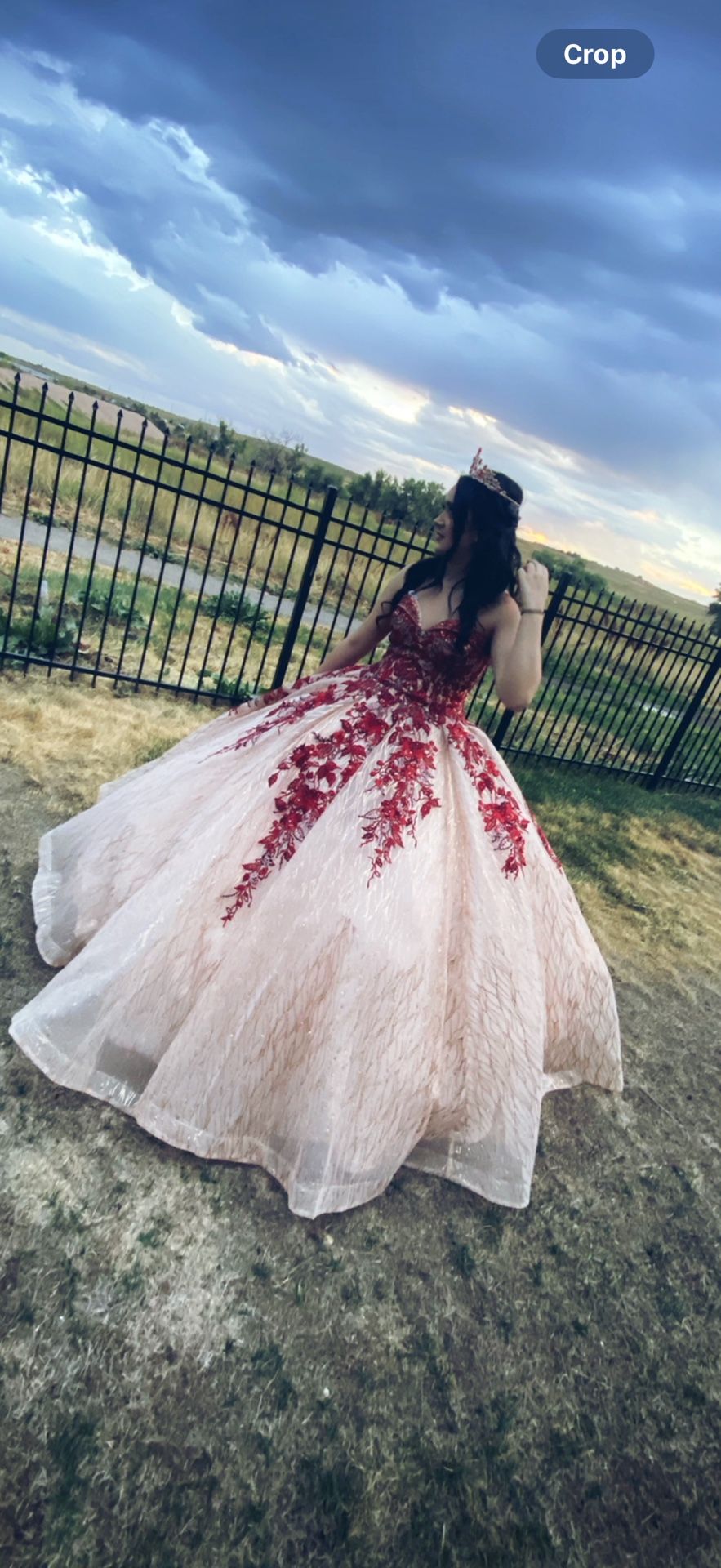 Quince Dress $500