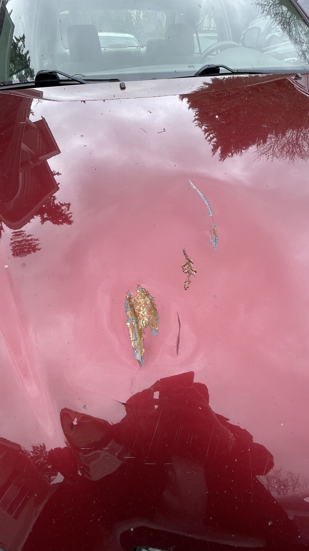 2003 Toyota Camry for Sale in Everett, WA OfferUp