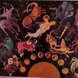 Puzzle New - Pickup From Northridge Area