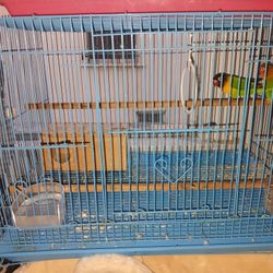 Bird Cage 