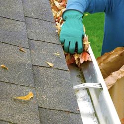 Gutter Cleaning
