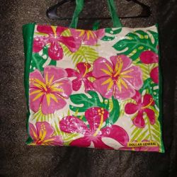 🩷 Dollar General Big Bag - Still Available