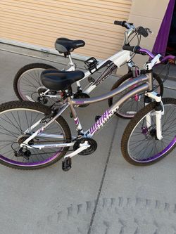 Schwinn Whirlwind & Cascade Mountain Bikes – Set of 2
