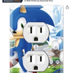 Sonic Hedgehog Receptacle cover