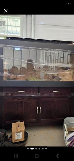 Reptile enclosure