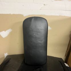 Muay Thai pads Brand New 