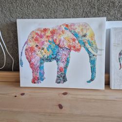 Elephant Canvas Wall-Art $30.00 OBO