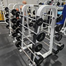 Iron Grip Fixed Straight And Fixed Curl Barbells Commercial Gym Equipment Icarian Storage Racks