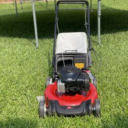 Recycler 21 in. Briggs and Stratton Low Wheel RWD Gas Walk Behind Self Propelled Lawn Mower with Bagger