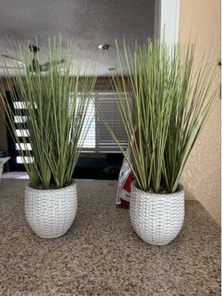Fake plants