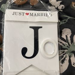 Just Married Banner -New