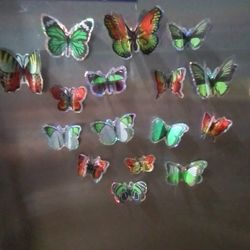 Custom Made Butterfly Magnets