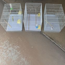 Bird Cages For Sale (accessories and divider included).