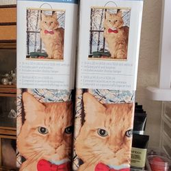 Paint By Number Kit "Cat"