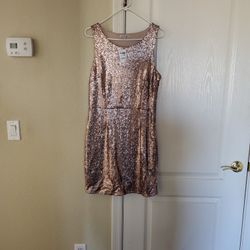 Prom or Formal Dress