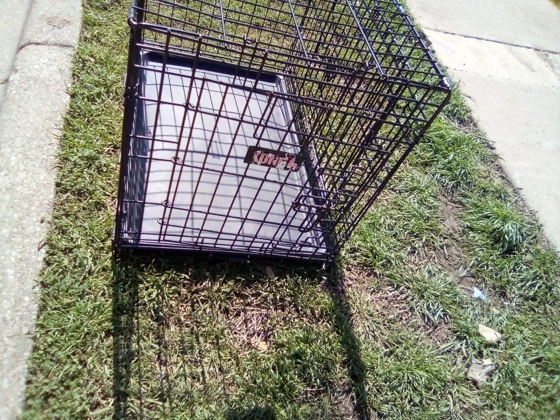 Dog Kennel