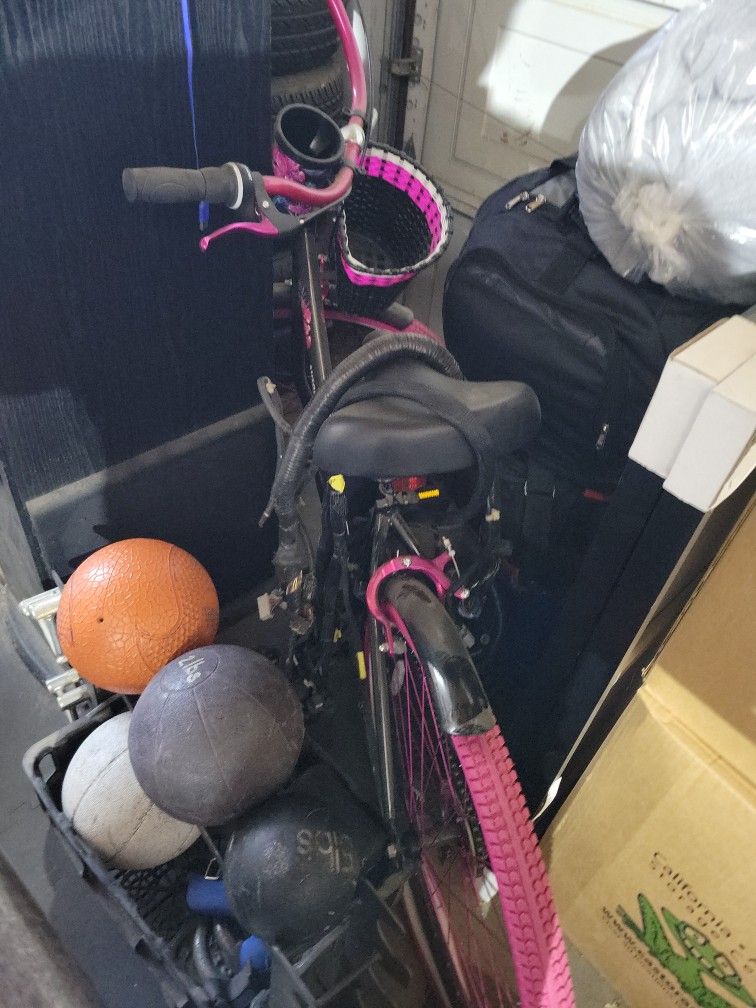 Beach Cruise Susan G