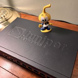 Juniper SSG-5 Security Services Gateway