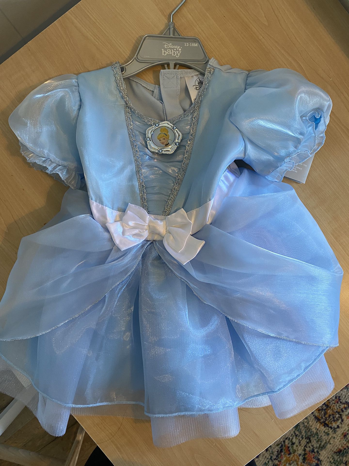 Cinderella Costume 