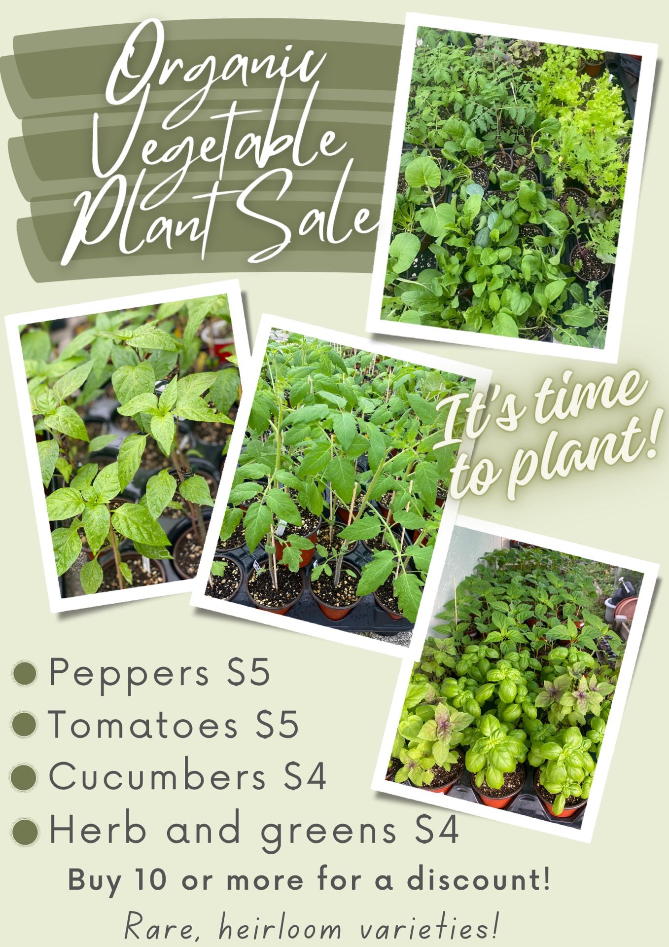 Organic Vegetable Plant Sale