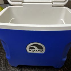 Igloo Cooler