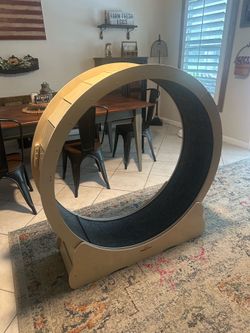 Oversized Cat Wheel or Small Dog Exercise Wheel
