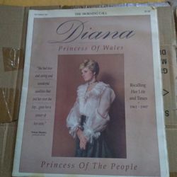 Diana Princess Supplement Paper